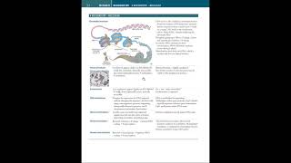 FirstAidExplained Biochemistry E01 pg 3440 [upl. by Taveda]