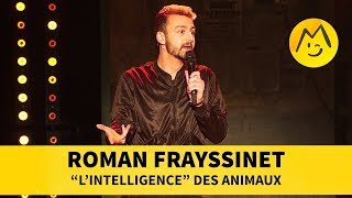 Roman Frayssinet  quotLintelligencequot des animaux [upl. by Materse968]