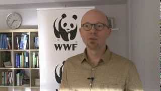 Jason Anderson WWF on EU 2030 Climate amp Energy policies [upl. by Carew]