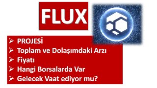 FLUX COİN PROJELERİ FLUX COİN GELECEK VAAT EDİYORMU FLUX COİN ARZI [upl. by Wein635]