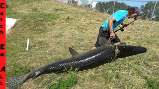 CATCHING a WHALE in MUDDY Freshwater Canal [upl. by Owades588]