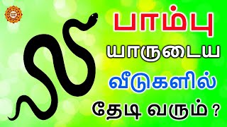 பாம்பு வீட்டிற்குள் வந்தால் என்ன பலன்  pambu veetuku vanthal enna palan  veetil pambu vanthal [upl. by Allen640]