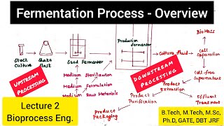 Fermentation Process  Upstream Processing  Downstream Processing biotechnotebook [upl. by Asilaj]