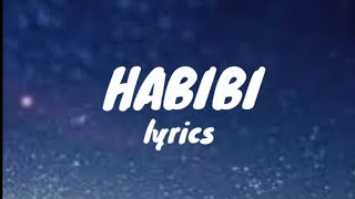 Habibi Song Lyrics 🎶  Full lyrical Video [upl. by Nileek]