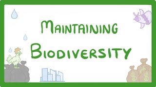 GCSE Biology  Maintaining Biodiversity 90 [upl. by Brinna40]