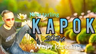 KAPOK  bocoran lagu tarling Pantura terbaru 2024 wapy kencana  CiptArr  ilut technics [upl. by Toms]