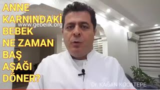 Anne karnındaki bebek ne zaman ve neden baş aşağı döner  Bu doğumun yaklaştığı anlamına gelir mi [upl. by Enra]