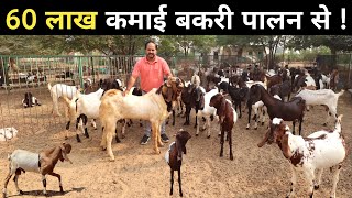 शहर की लाखों की नौकरी छोड़कर गांव में बकरी पालन शुरू किया  Goat Farming  Goat Farming Business [upl. by Legna]