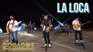 Los Dorados  La Loca En Vivo [upl. by Godbeare717]