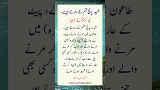 Types of Martyr shaheed nabipaknefarmaya hadees hadeesinurdu islamicvideo [upl. by Kroll537]