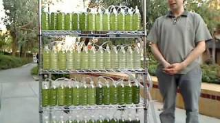 An Algae Bioreactor from Recycled Water Bottles [upl. by Ophelie437]