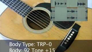 Roland GR55 and VG99 Acoustic Guitars Martin Guild Nylon  Synthesizer [upl. by Nhguav418]