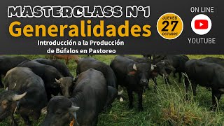 Masterclass N°1  PRV con Búfalos [upl. by Thielen436]