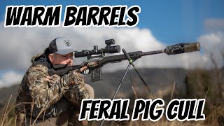 WARM Barrels Shooting Feral Pigs amp Foxes  Over 130 Fall  Kill Shots with a 223Rem amp 308Win [upl. by Chamkis]