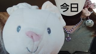 【ノンフィクション婚活】進藤さん内田さんその後…顔出しすればお相手はすぐできる？！vlog 婚活マッチングアプリ 昭和 雑談 [upl. by Yates400]