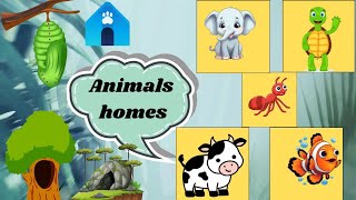 Animals and their homes l animals homes l homes of animals [upl. by Kucik]