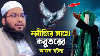 নবীজির সাথে কবুতরের আজব ঘটনা┇মাওলানা ইসমাঈল বুখারী কাশিয়ানী┇Ismail Bukhari Kashian┇New Bangla Waz [upl. by Melisent]