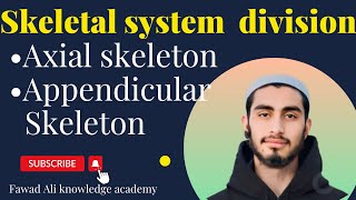 skeletal system divisionAxial and Appendicular skeleton [upl. by Seigel]