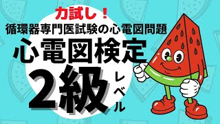 【力試し！心電図検定2級レベル】循環器専門医試験の心電図問題を解く！ [upl. by Norvil104]