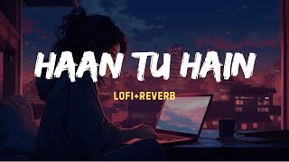 Haan tu hain LOFI Slowed amp Reverb  Jannat  Music Pulse [upl. by Haiel]