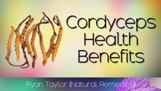 Cordyceps Benefits for Health [upl. by Melany602]