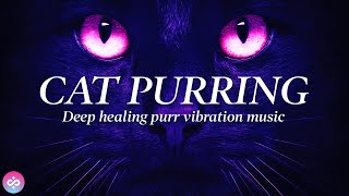 CAT PURRING HEALING POWER VIBRATIONS ✧120hz ✧ RELIEVE ANXIETY STRESS amp SLEEP ✧ FOR HUMANS amp CATS 4K [upl. by Ppilihp888]