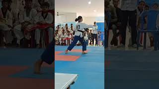 poomsae 13 sipjinTaekwondopoomsae [upl. by Gough719]