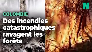 La Colombie plongée dans une lutte acharnée contre les feux de forêt [upl. by Relyc]