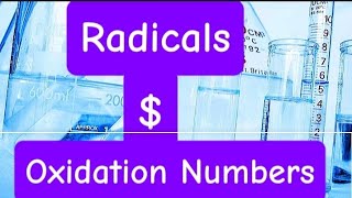 Radicals and Oxidation Numbers [upl. by Hallutama]