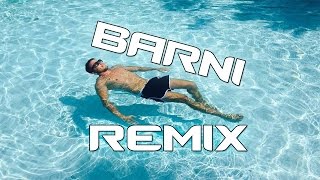 BARNI REMIX [upl. by Ikkim510]