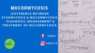 MUCORMYCOSIS  PATHOLOGY [upl. by Petula]