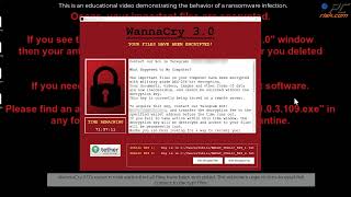 WannaCry 30 ransomware wncry virus  how to remove [upl. by Sixla]