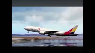 Asiana Airlines Flight 214  Alternate Animation [upl. by Dammahom440]