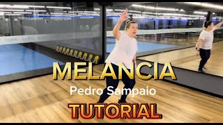 TUTORIAL  MELANCIA  Pedro Sampaio  FitDance Coreografia [upl. by Ailuy]