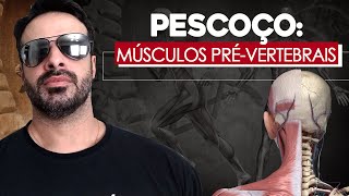 PESCOÇO MÚSCULOS PRÉVERTEBRAIS [upl. by Angelico]