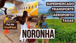 Fernando de Noronha  Primeiras impressões dicas importantes [upl. by Esiled615]