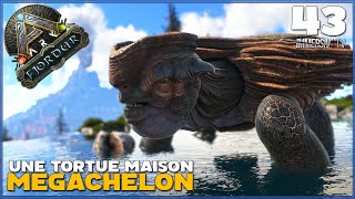 ARK FJORDUR FR  LES CREATURES EXTRAORDINAIRE  LE MÉGACHELON  EP43 [upl. by Eerhs955]