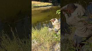 Caught my FIRST WHITEFISH in Idaho fishing flyfishing whitefish idaho fishinglife [upl. by Hgielra]