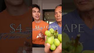 the worlds most expensive grapes🍇 [upl. by Kolosick556]