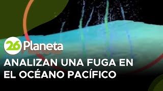 Analizan una fuga en el Océano Pacífico que daría pistas sobre los terremotos [upl. by Ignace]