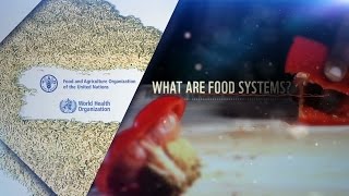 WHOFAO  International Conference on Nutrition What are food systems [upl. by Sigrid]