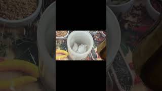 Special Homemade Masala Drink 🥤😋cooking recipe food shortsyoutubeshorts [upl. by Phillada]