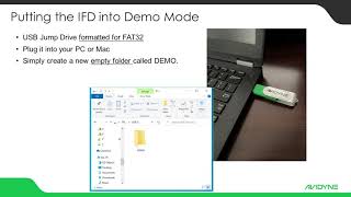 Avidyne IFD Demo Mode [upl. by Falda]