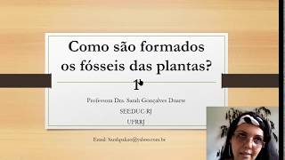 Paleobotânica Como são formados os fósseis das plantas  1 Paleobotvideos [upl. by Irved]