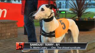 Ladbrokes Irish Greyhound Derby Round 1 Heats 1 to 6 [upl. by Tomi517]