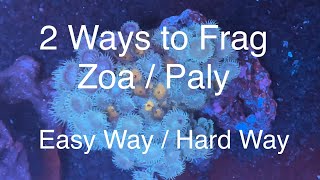 2 Ways to Frag Zoanthids  Palythoas  Zoa  Paly Fragging Saltwater Coral Reef Aquarium [upl. by Arias]