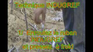 ruban à greffer indugref pour arbre fruitier [upl. by Ilana956]