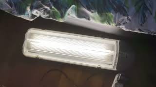 Start up PIERLITE GS214 T5 2 X 14WATT FLUORESCENT STREET LIGHT [upl. by Limay]