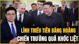 Thương Vong Hơn 1000 Người Mỗi Ngày Lính Triều Tiên Sợ Vỡ Mật Vì Chiến Trường Khốc Liệt [upl. by Vevay]