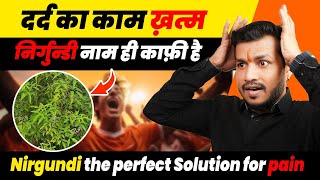 वात  दर्द का काम ख़त्मनिर्गुन्डी नाम ही काफ़ी है  Nirgundi the perfect Solution for pain Ep593 [upl. by Judd869]